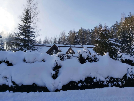 WhatsApp Image 2026-01-20 at 21.19.55.jpeg