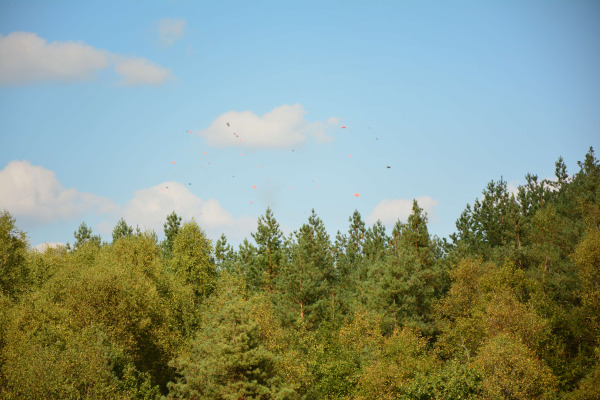 DSC_0184.jpg