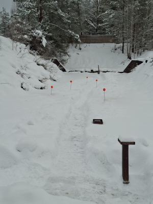 WhatsApp Image 2026-02-08 at 13.29.33.jpeg