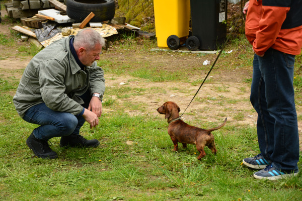 DSC_0237.jpg